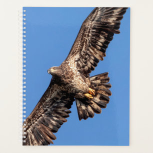 2024 Bald Eagle Planner