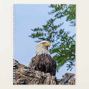 2024 Bald Eagle Planner