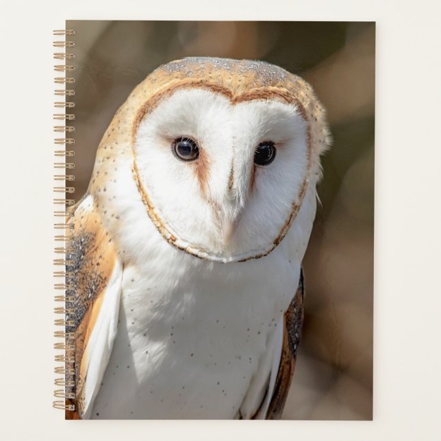 2024 Barn Owl Planner (Front)