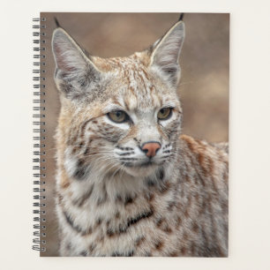 2024 Bobcat in New Jersey Planner