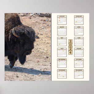 2024 - "Buffalo" Poster