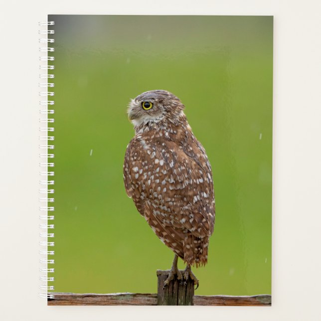 2024 Burrowing Owl Planner (Front)