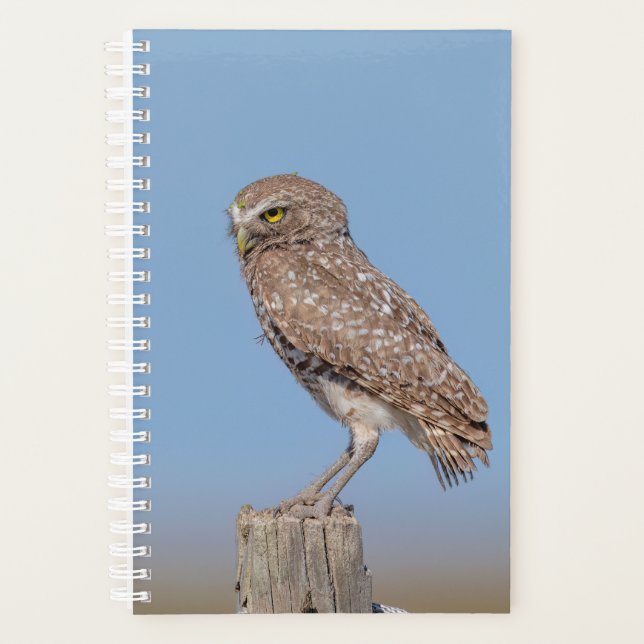 2024 Burrowing Owl Planner (Front)