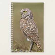 2024 Burrowing Owl Planner
