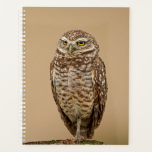 2024 Burrowing Owl Planner
