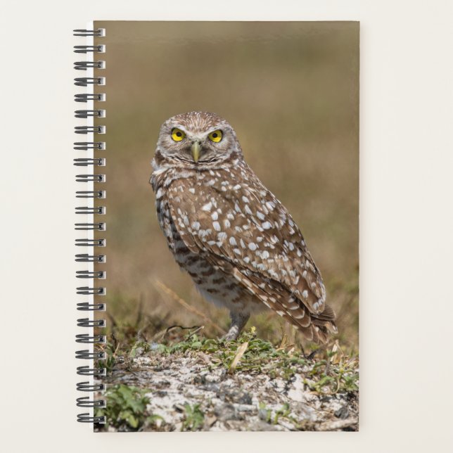 2024 Burrowing Owl Planner (Front)