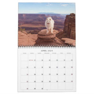 2024 Coconut Rice Bear Calendar