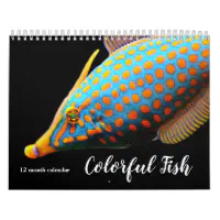 Fish of South America 2024 Calendar