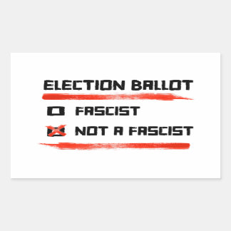 2024 Election Ballot: Vote Not A Fascist Rectangular Sticker