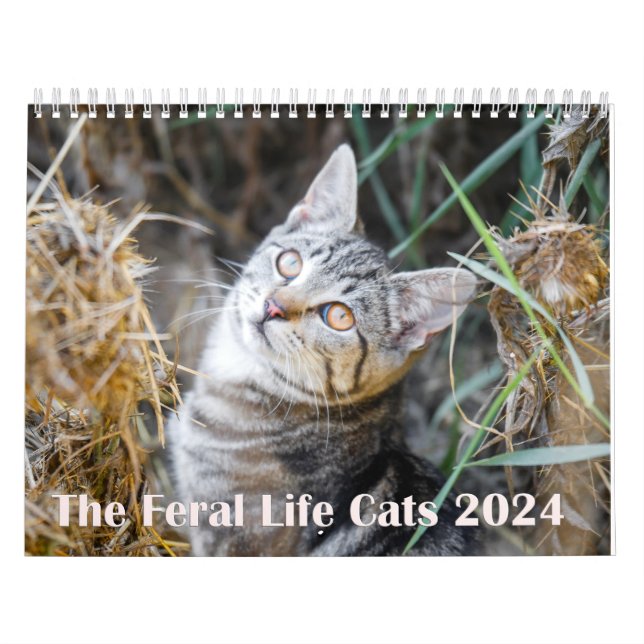 2024 Feral Life 2024 Beautiful Natural Cats Calendar (Cover)
