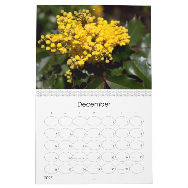 2024 Floral Explosion Calendar (Dec 2027)