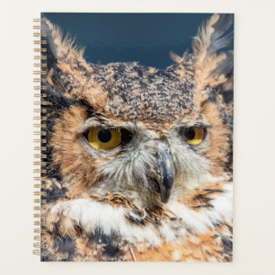 2024 Great Horned Owl Planner