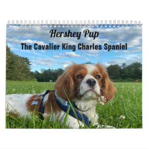 2024 Hershey Pup Cavalier Dog Lovers Wall Calendar
