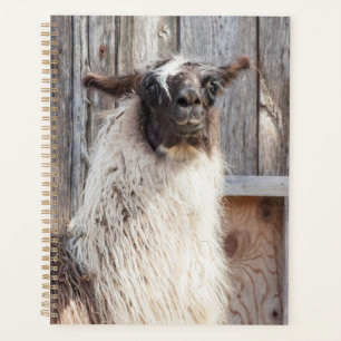 2024 Llama at the farm Planner