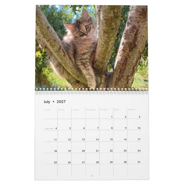 2024 Monthly Wall Cat Calendar (Jul 2027)
