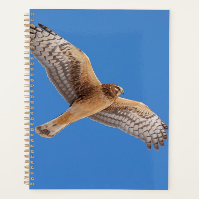 2024 Northern Harrier Hawk Planner (Front)