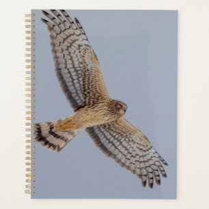 2024 Northern Harrier Hawk Planner