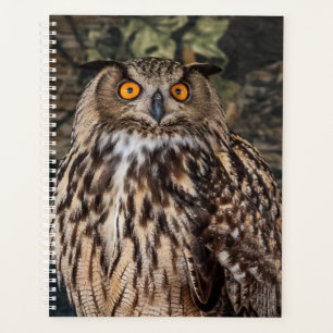 2024 Owl Planner