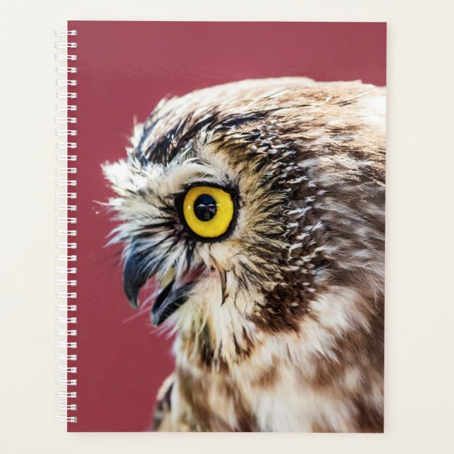 2024 Owl Planner (Front)