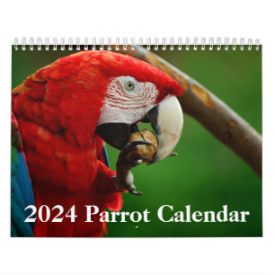 2024 Parrot Calendar