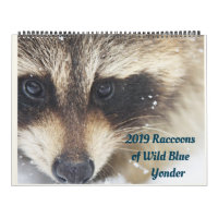 2024 Raccoons of Wild Blue Yonder Wildlife Rescue
