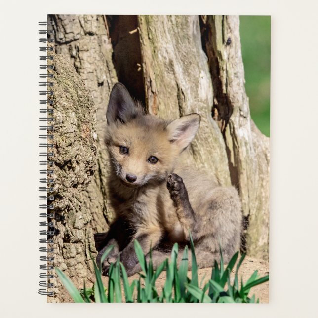 2024 Red Fox Kit Planner (Front)