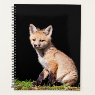 2024 Red Fox Kit Planner