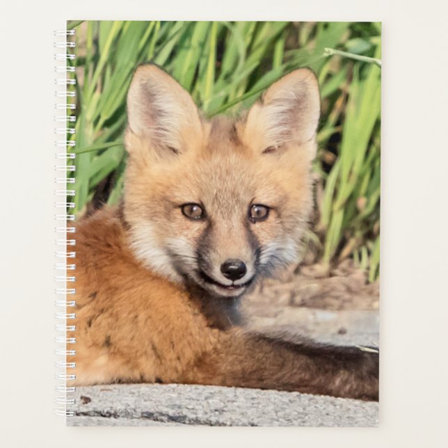 2024 Red Fox Kit Planner (Front)