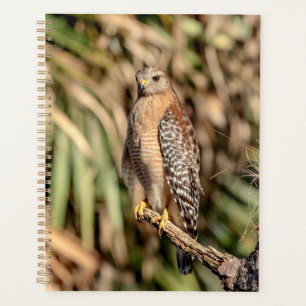 2024 Red Shouldered Hawk Planner