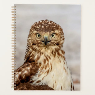 2024 Red-Tailed Hawk Planner