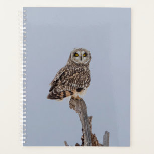2024 Short-Eared Owl Planner