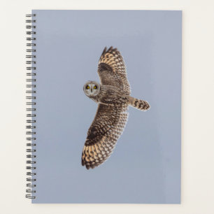 2024 Short-Eared Owl Planner