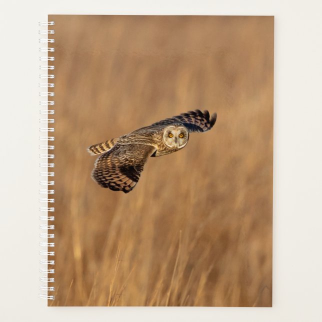 2024 Short-Eared Owl Planner (Front)