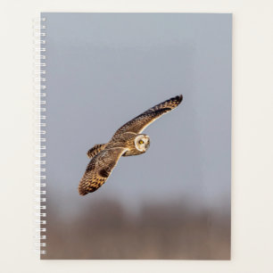 2024 Short-Eared Owl Planner