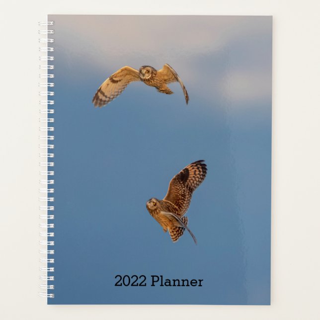 2024 Short-Eared Owls Planner (Front)