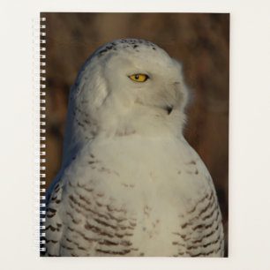 2024 Snowy Owl Planner