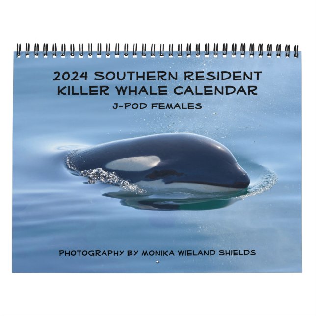 2024 Southern Resident Killer Whale Calendar (Cover)