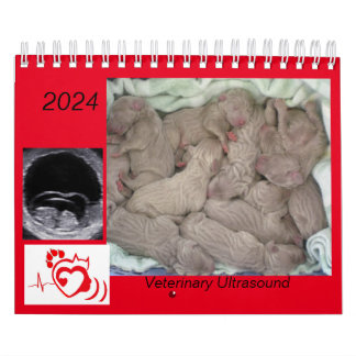 2024 Veterinary Ultrasound Imaging  Calendar