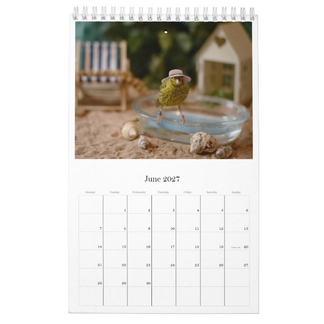 2024 Wall Calendar Cute Birds Pets Canary (Jun 2027)