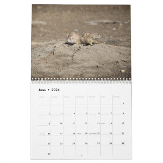 2024 Wildlife Calendar