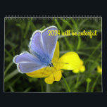 2024 will be colourful calendar<br><div class="desc">Delightful flowers to brighten every months in 2024.</div>