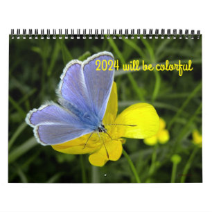 2024 will be colourful calendar