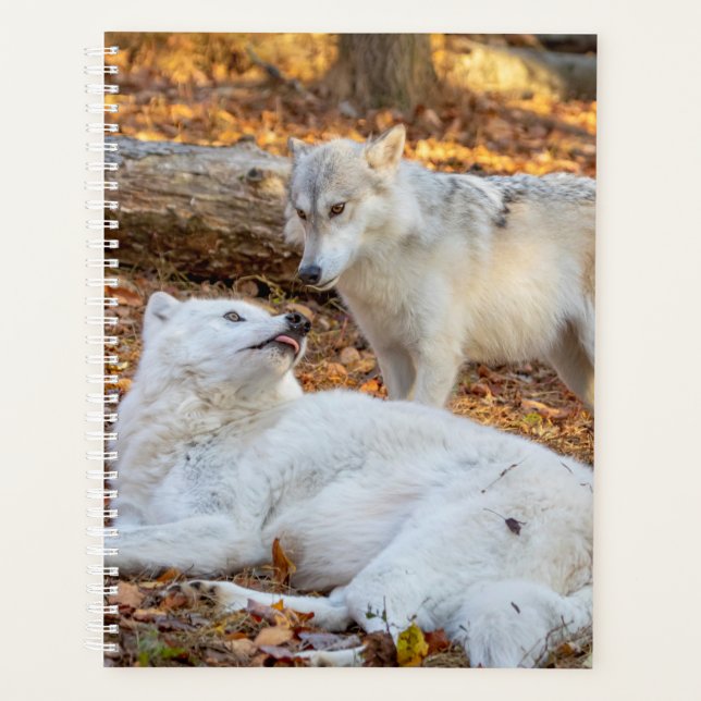 2024 Wolf Planner (Front)