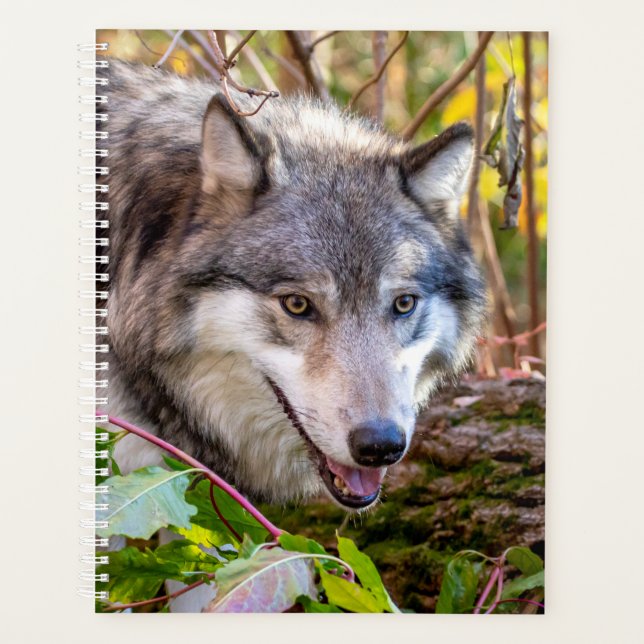 2024 Wolf Planner (Front)