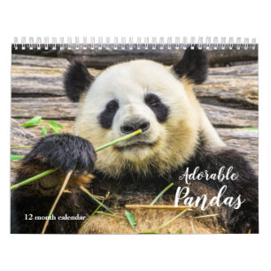 2025 Adorable Pandas Calendar