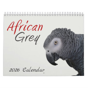2025 African Grey Parrot Calendar
