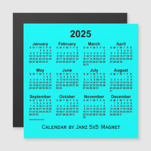 2025 Aqua Calendar by Janz 5x5 Magnet