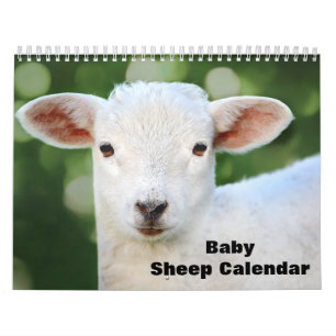 2025 Baby Sheep Lamb Calendar
