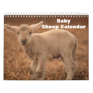 2025 Baby Sheep Lamb Calendar