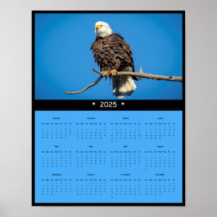 2025 Bald Eagle Wall Calendar Poster